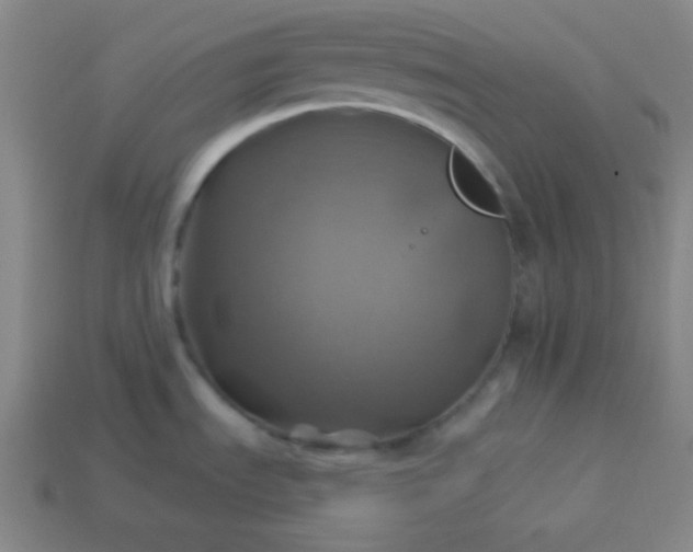 X0000114101535200910191632