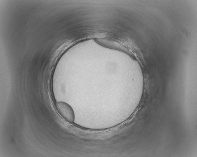 X0000114100001200911161108