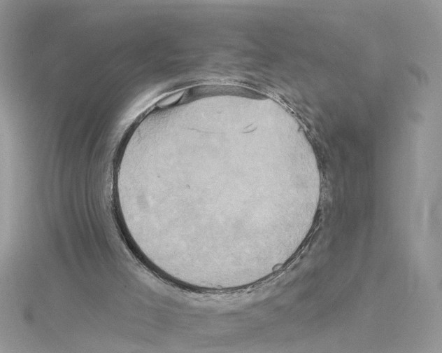 X0000114100005200911161108