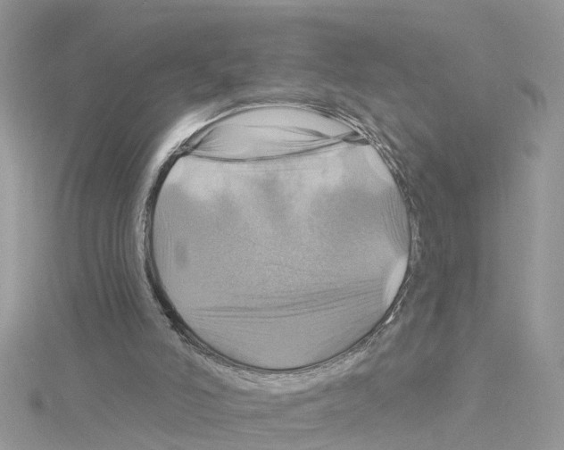 X0000114100006200911161108