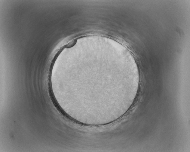 X0000114100007200911161108