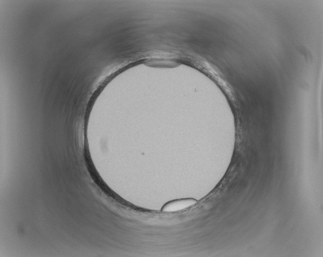 X0000114100011200911161108