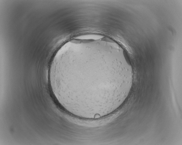 X0000114100014200911161108