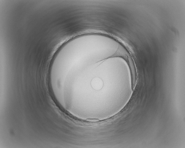 X0000114100015200911161108