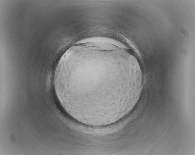 X0000114100018200911161108