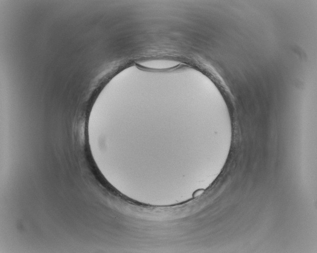 X0000114100019200911161107