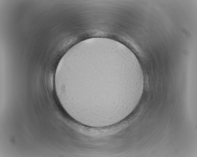 X0000114100022200911161107