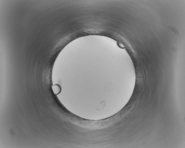 X0000114100023200911161107