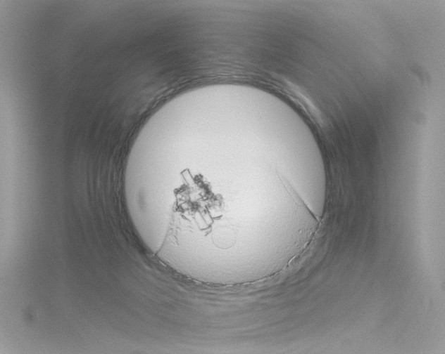 X0000114100025200911161107