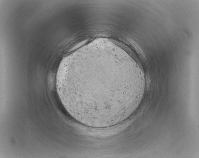 X0000114100026200911161107