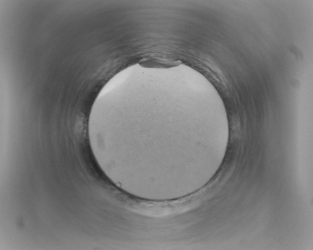 X0000114100029200911161107