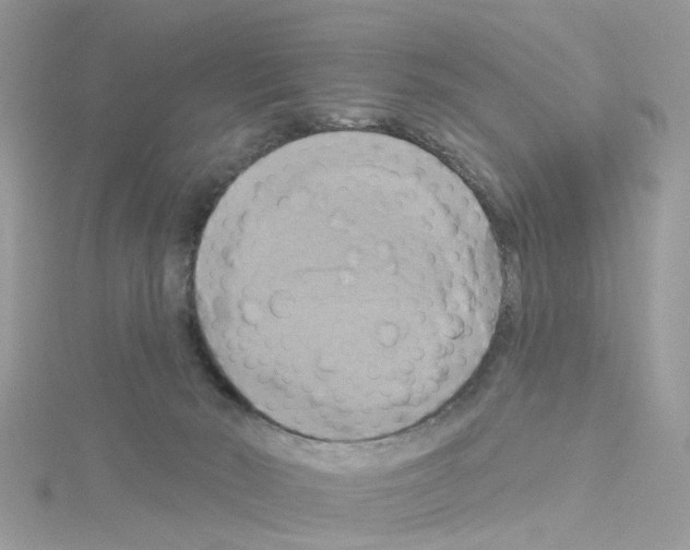 X0000114100030200911161107