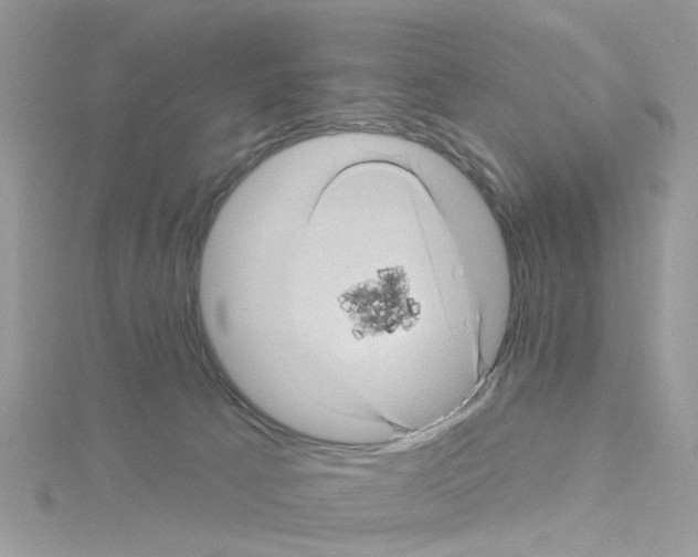 X0000114100033200911161107