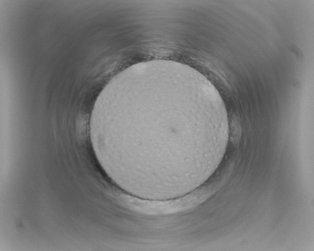 X0000114100034200911161107