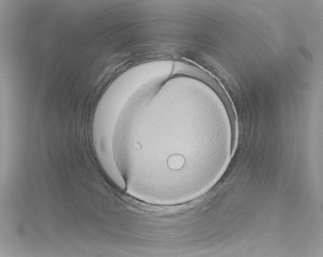 X0000114100035200911161107