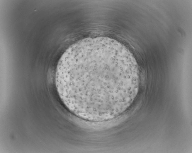 X0000114100038200911161107