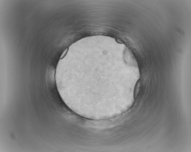 X0000114100041200911161107