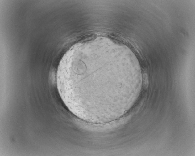 X0000114100042200911161107