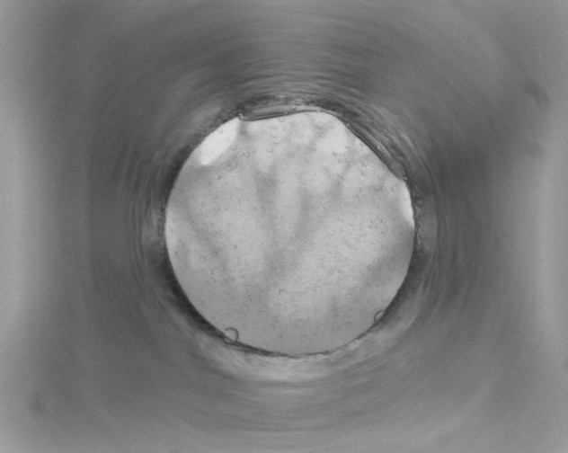 X0000114100044200911161107