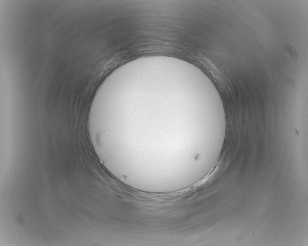 X0000114100045200911161107