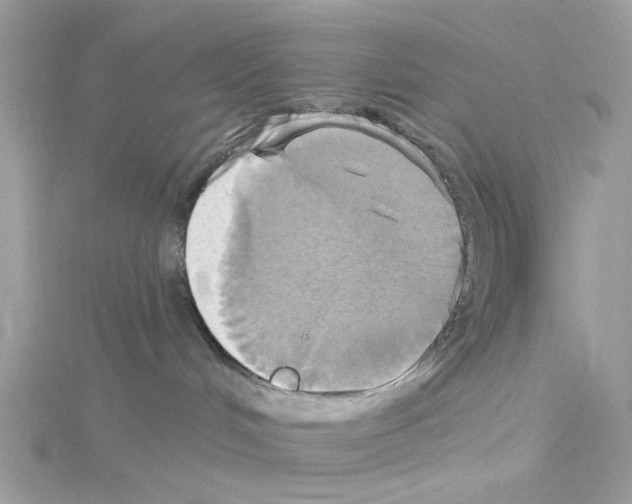 X0000114100048200911161107