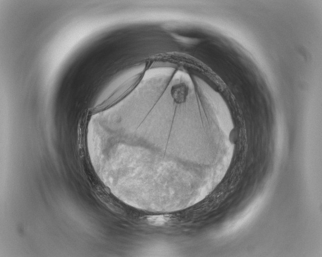 X0000114100050200911161107