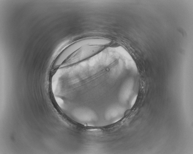 X0000114100053200911161107