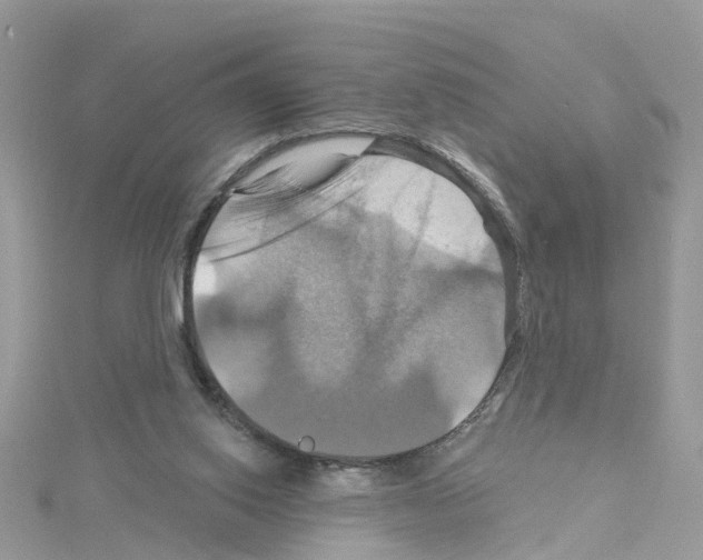 X0000114100062200911161107