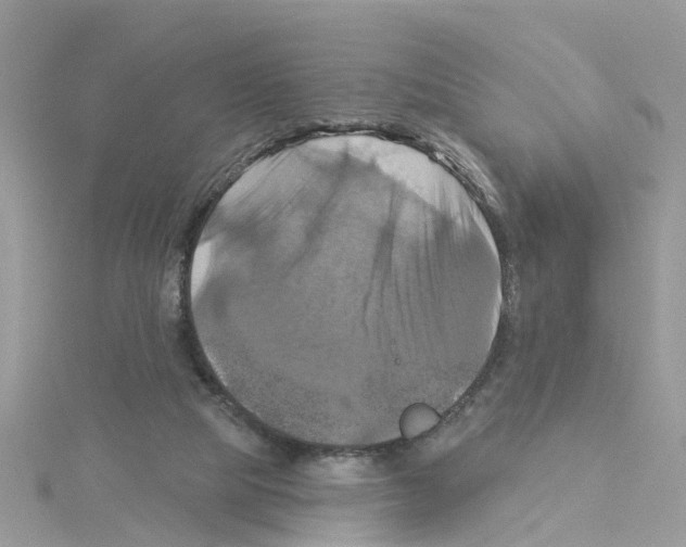 X0000114100065200911161107