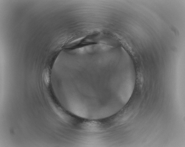 X0000114100069200911161107