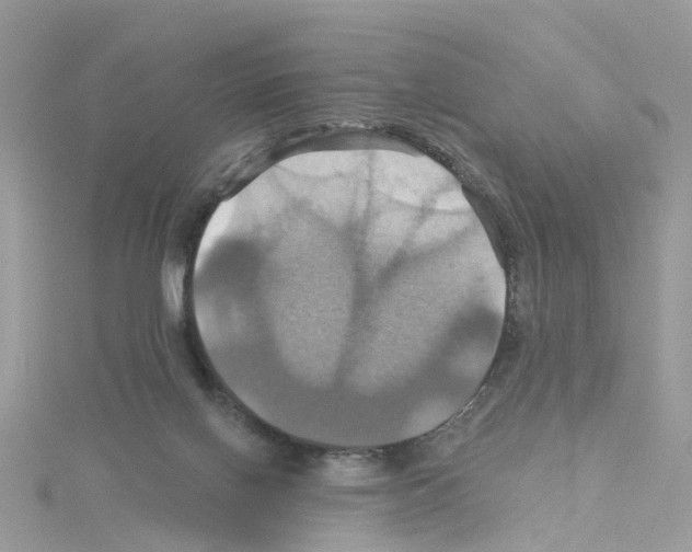 X0000114100070200911161107