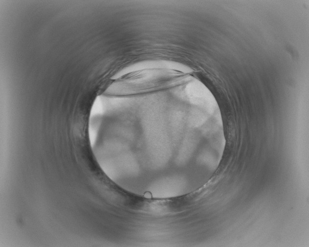 X0000114100078200911161107