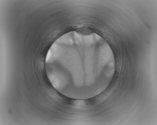 X0000114100085200911161107