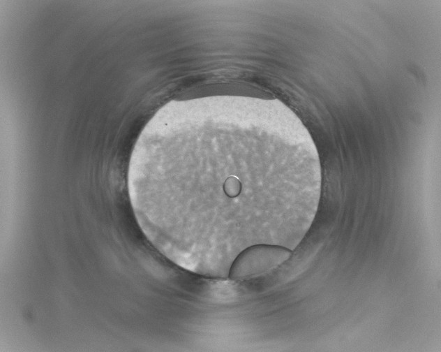 X0000114100091200911161107