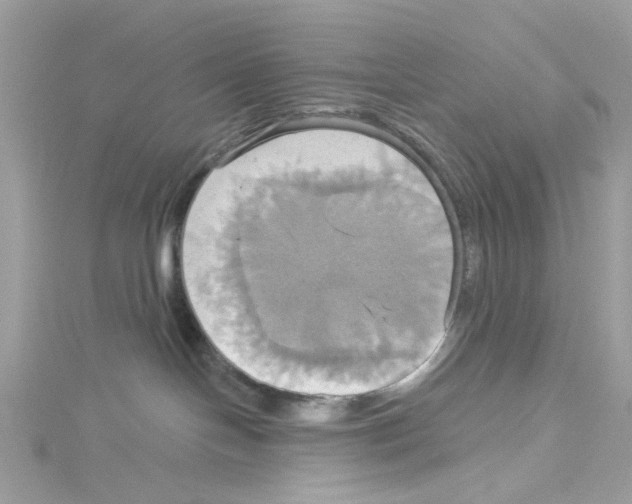 X0000114100094200911161107