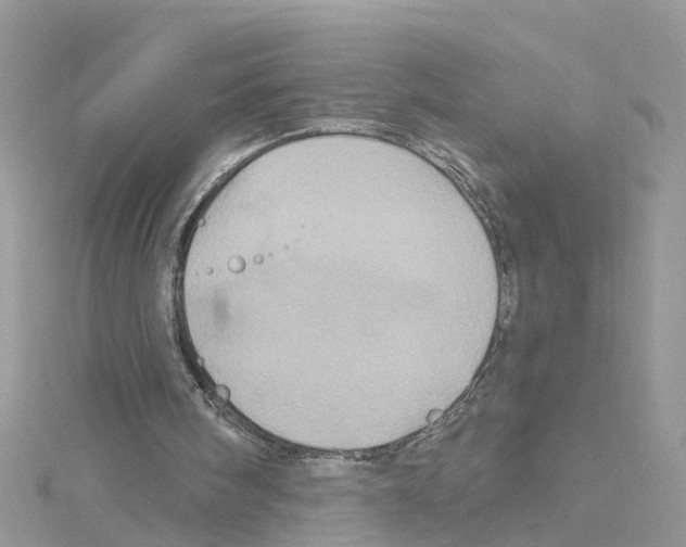 X0000114100098200911161106