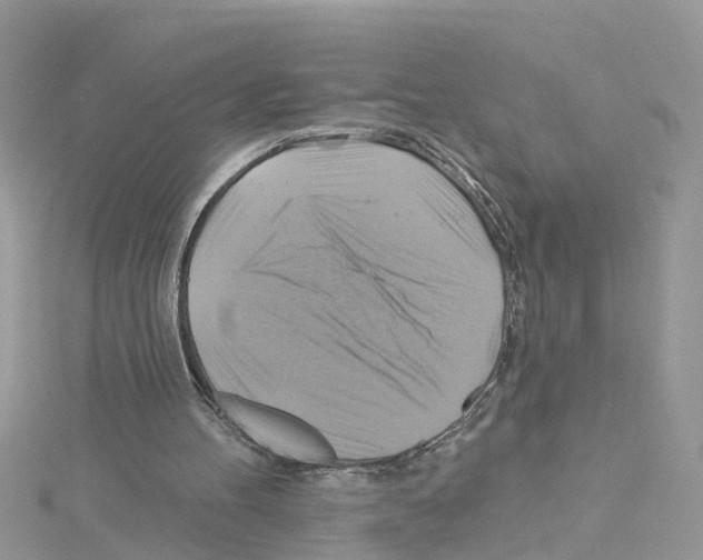 X0000114100100200911161106