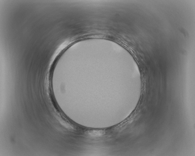 X0000114100102200911161106