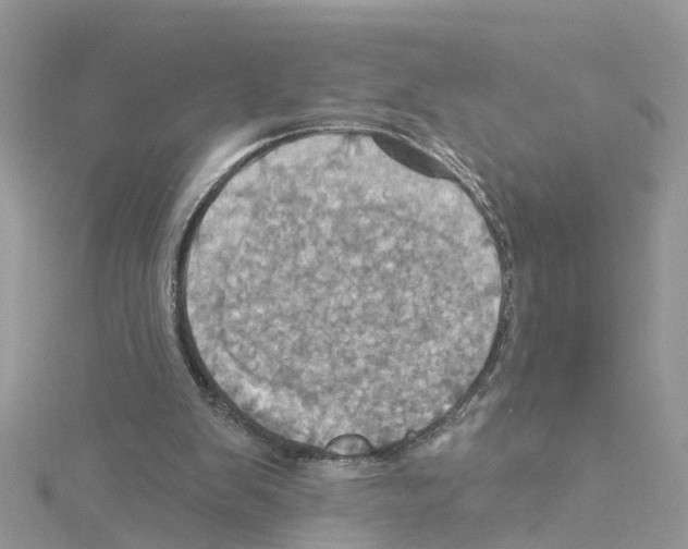 X0000114100103200911161106