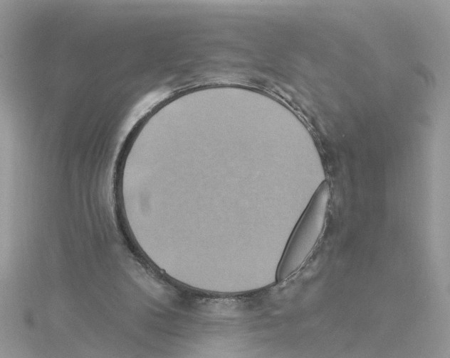 X0000114100104200911161106