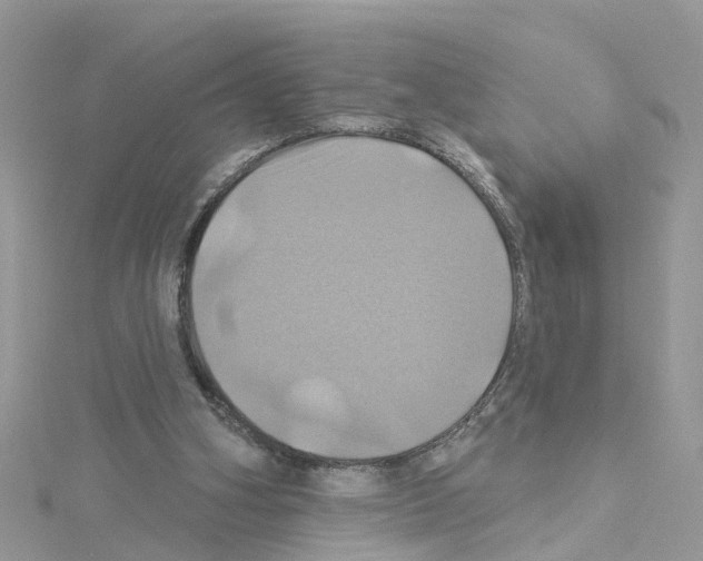 X0000114100106200911161106