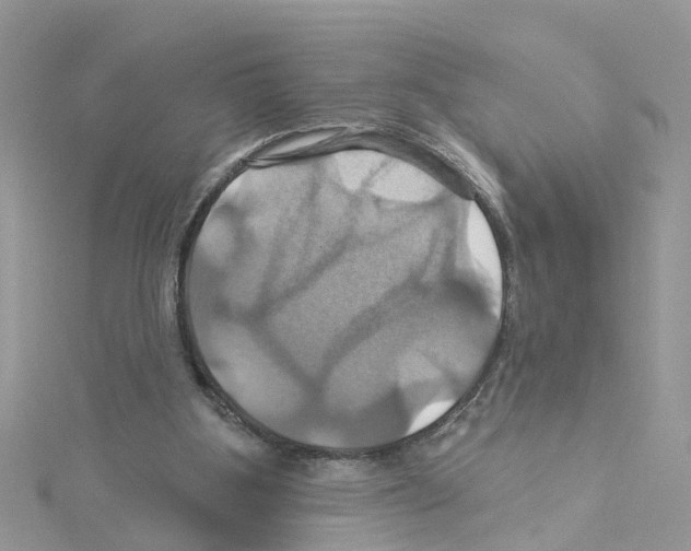 X0000114100107200911161106