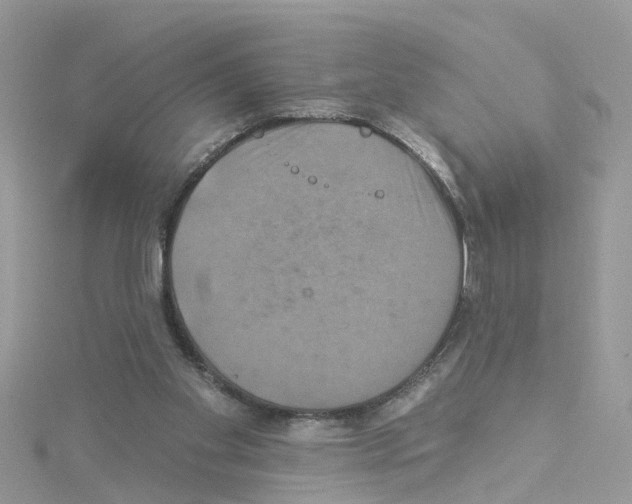 X0000114100109200911161106