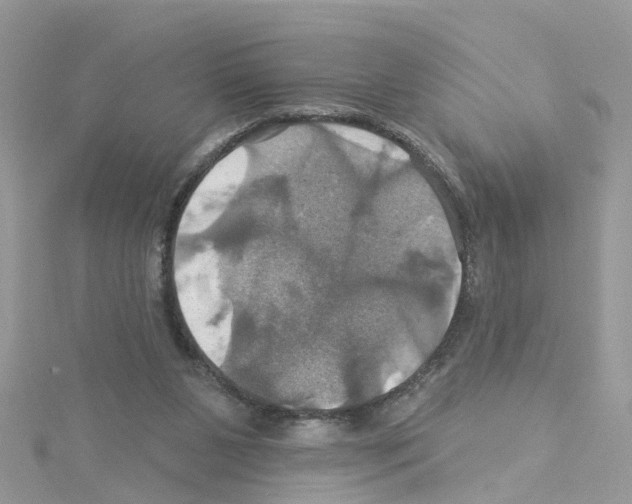 X0000114100111200911161106