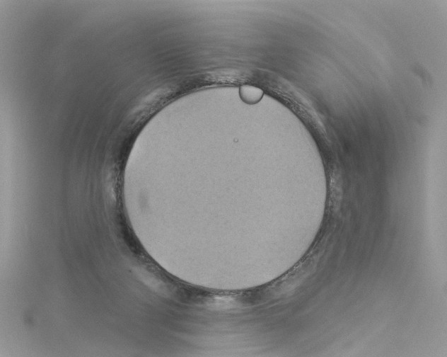 X0000114100114200911161106