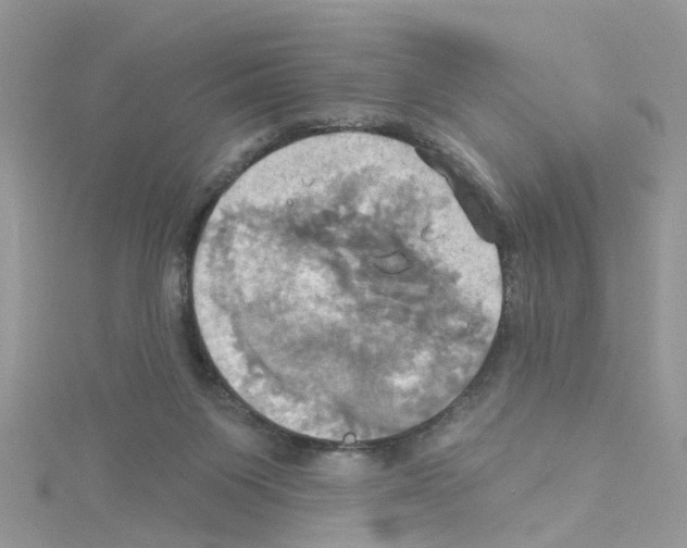 X0000114100119200911161106