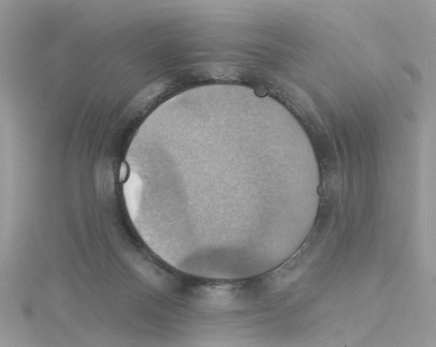 X0000114100120200911161106