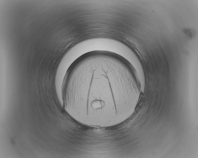 X0000114100121200911161106