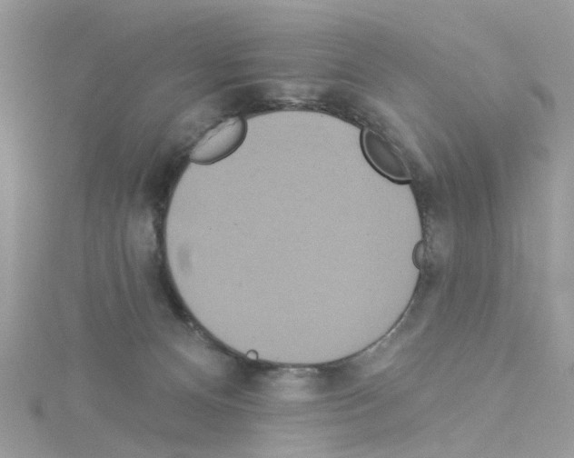 X0000114100128200911161106