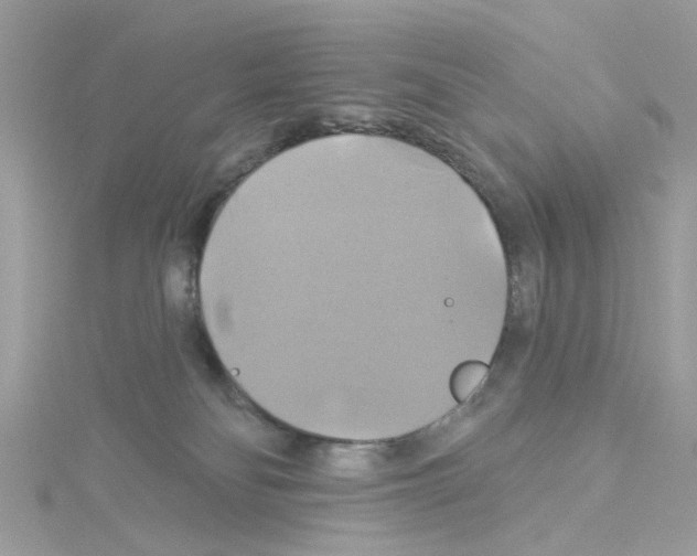 X0000114100134200911161106